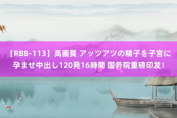 【RBB-113】高画質 アッツアツの精子を子宮に孕ませ中出し120発16時間 国务院重磅印发！