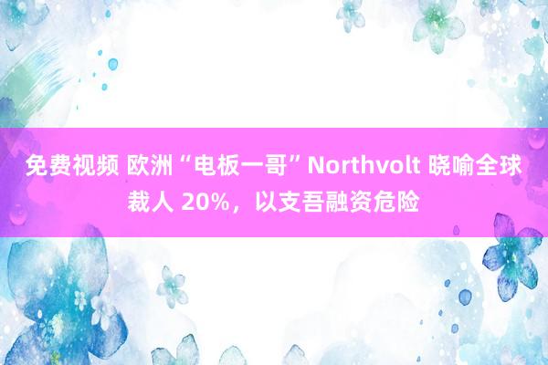 免费视频 欧洲“电板一哥”Northvolt 晓喻全球裁人 20%，以支吾融资危险